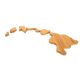 Georgia State Shaped Board