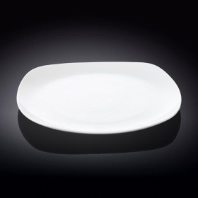 DINNER PLATE 9.75" X 9.75  | 24.5 X 24.5 CM