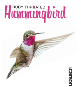 Ruby Throated Hummingbird Swedish Dishcloths
