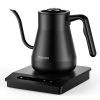 Gooseneck Electric Kettle with Temperature Control, 27oz Rapid Heating Electric Kettle, Auto Shut Off & Boil-Dry Protection