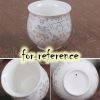 2 Pcs 3.4 oz Chinese Porcelain Teacup White Kongfu Tea Cups Mugs Japanese Tea Cups