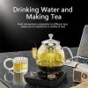 Professional multi-functional glass teapot | 800ml fast heating, cooking and brewing integrated electric kettle with stainless steel filter
