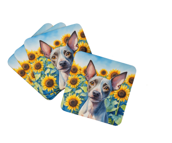 In Sunflowers Foam Coasters (Dog Breed: American Hairless Terrier 6010, size: 3.5)