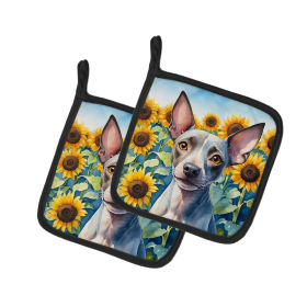 In Sunflowers Pair of Pot Holders (Design: American Hairless Terrier 6010, size: 7.5HX7.5W)